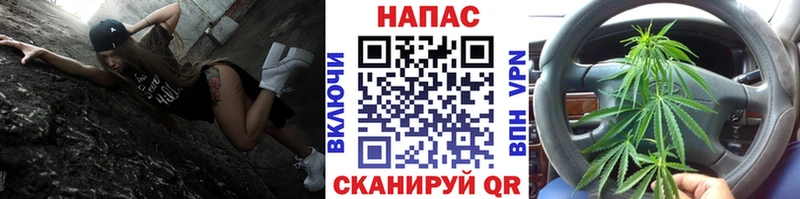 Бошки марихуана OG Kush  Фокино 